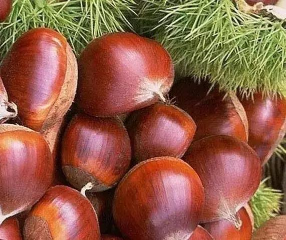 农产品营销运营，如何巧借事件营销