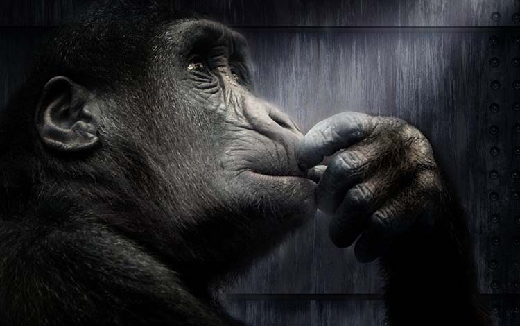 7分钟搞定120年营销进化史，我们都去装大师吧