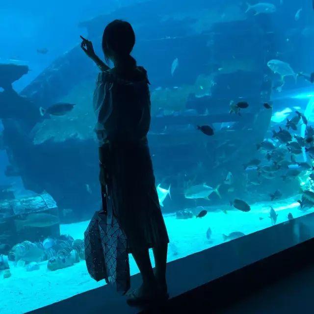 如果你能这么拍照，早就称霸朋友圈了！